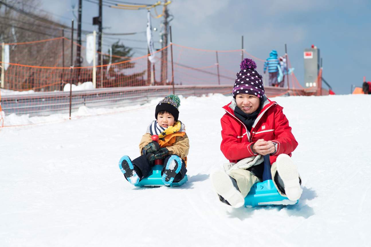 小さなお子様と一緒に、安全でエキサイティングな雪遊びをお楽しみください。そり遊びは、あらゆる年齢層やご家族に最適な冬のアクティビティです。